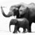 three elephant with trunks raised