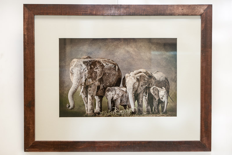 Amboseli Herd Painting