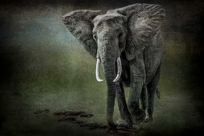 artistic rendering of a single elephant and rocks