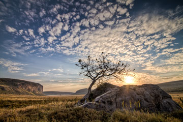sun rising over rock and tree in central canyon of Hells Gate Park, Kenya