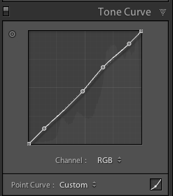 tone curve lightroom adjustments