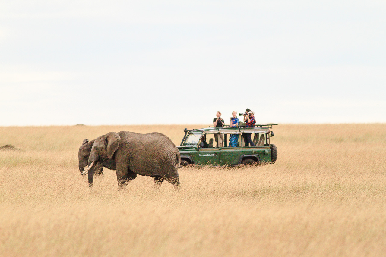photographers on safari in Kenya